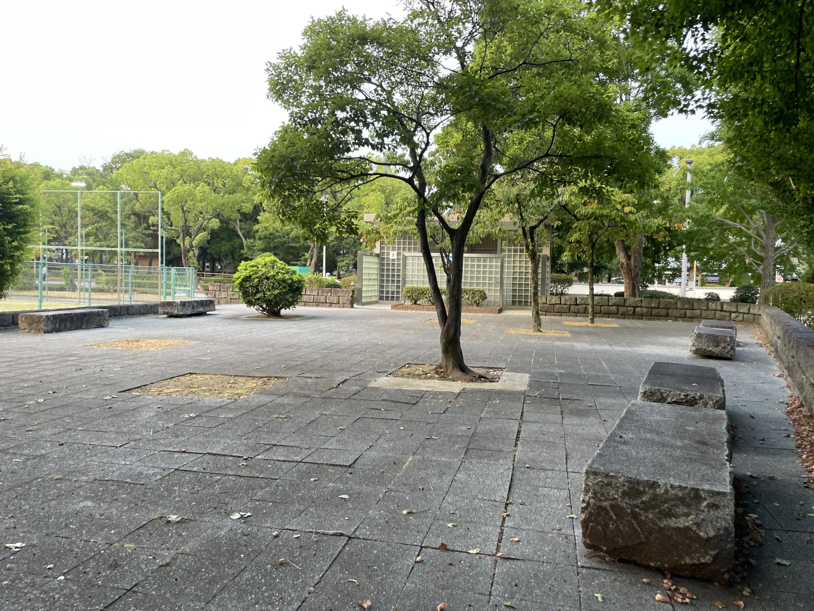 東公園（球技広場・幼児コーナー）のその他写真