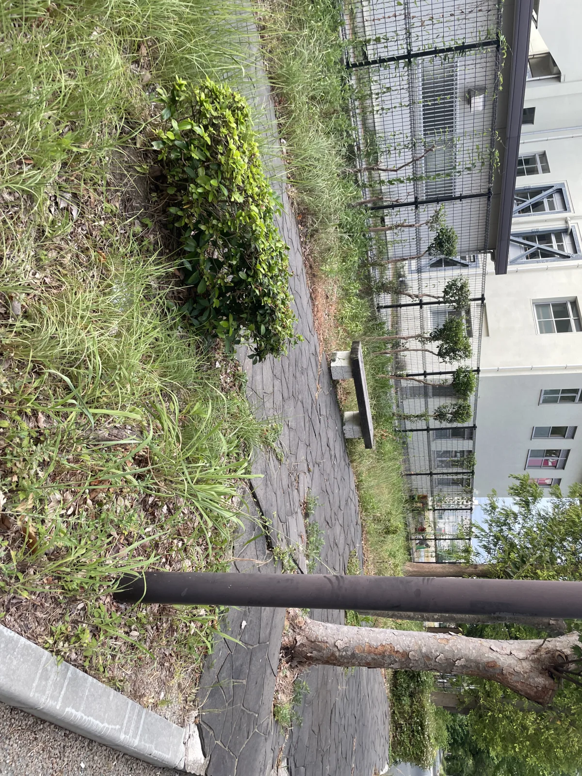 馬出緑地のその他写真