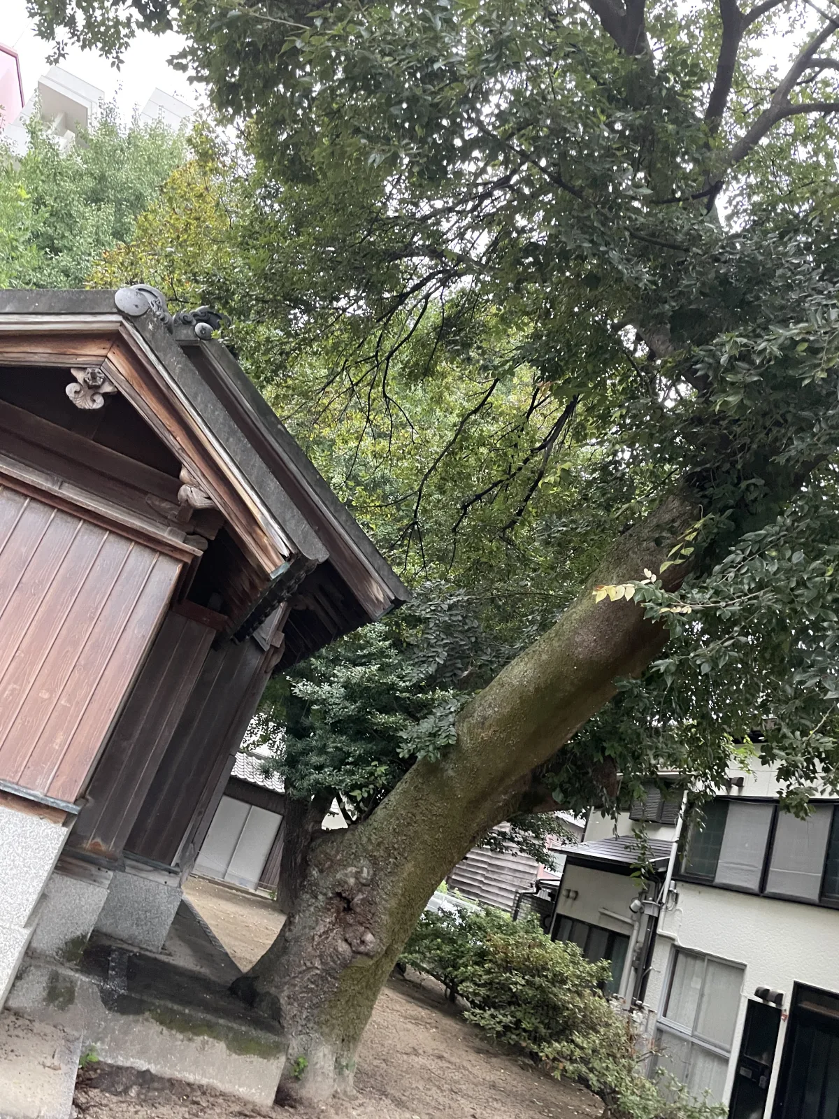 宇佐殿（米山弁財天）のその他写真