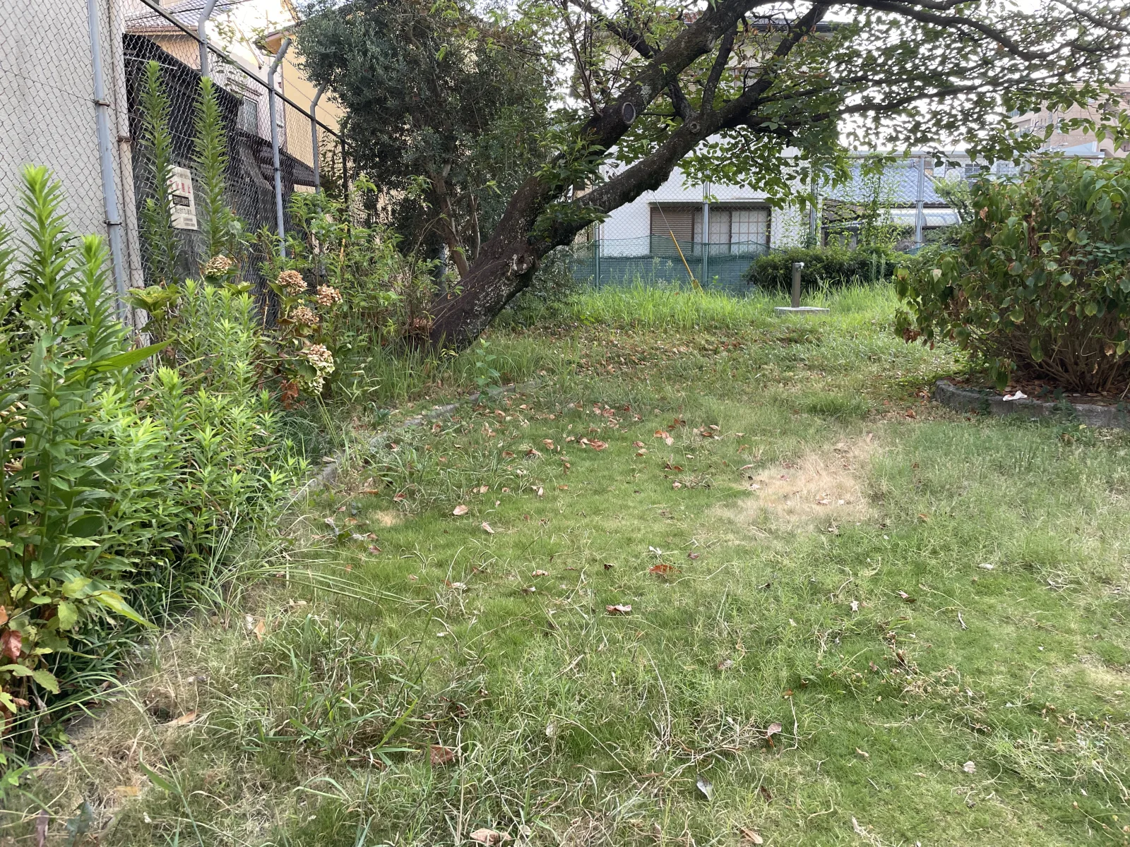 箱崎中公園のその他写真