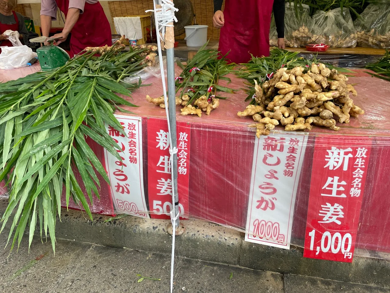 新しょうがの500円と1,000円の束