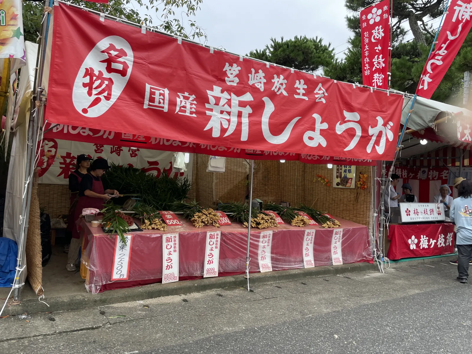 参道中央付近の新しょうがの屋台