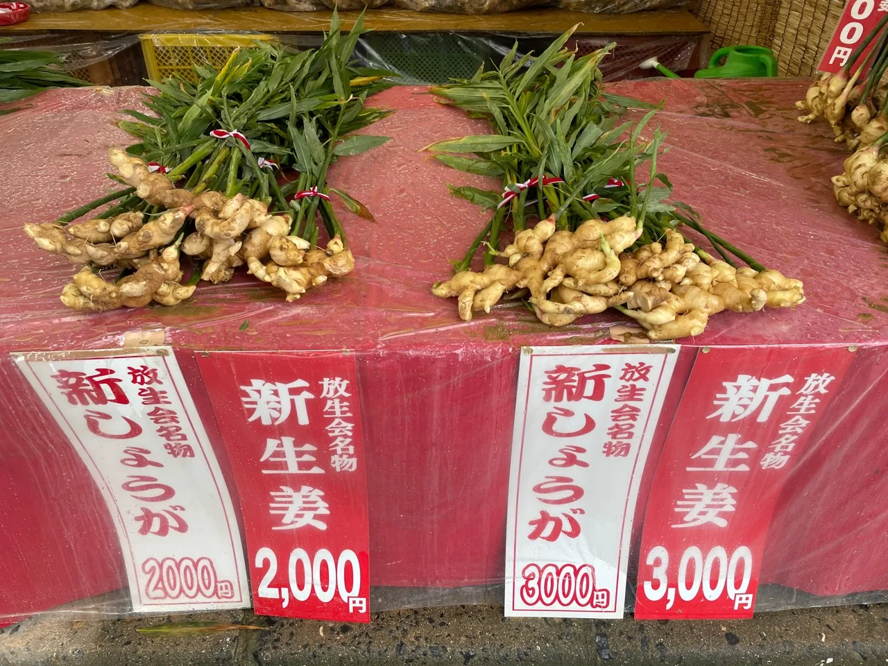 新しょうがの2,000円と3,000円の束