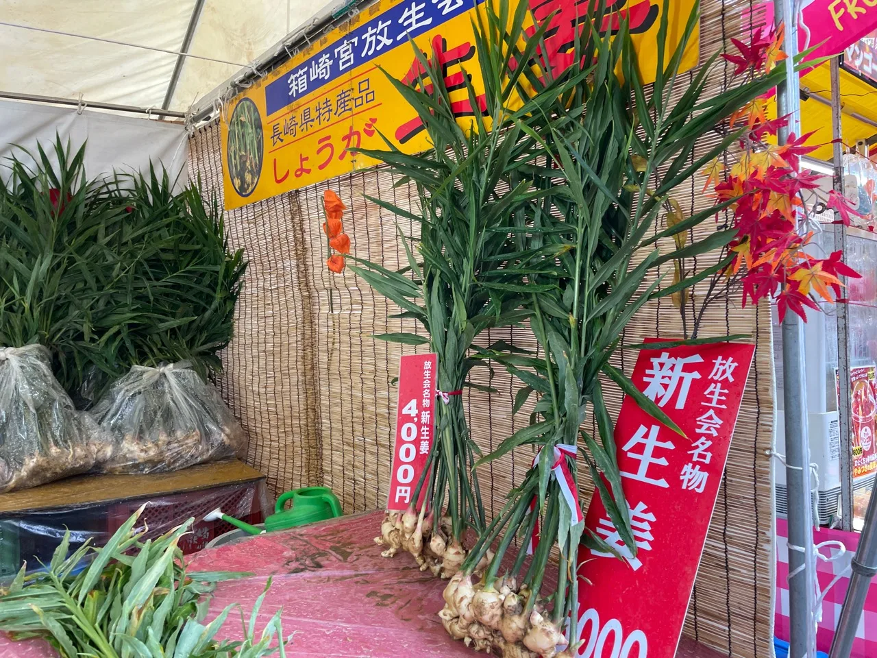 葉付き新しょうがの4,000円の束