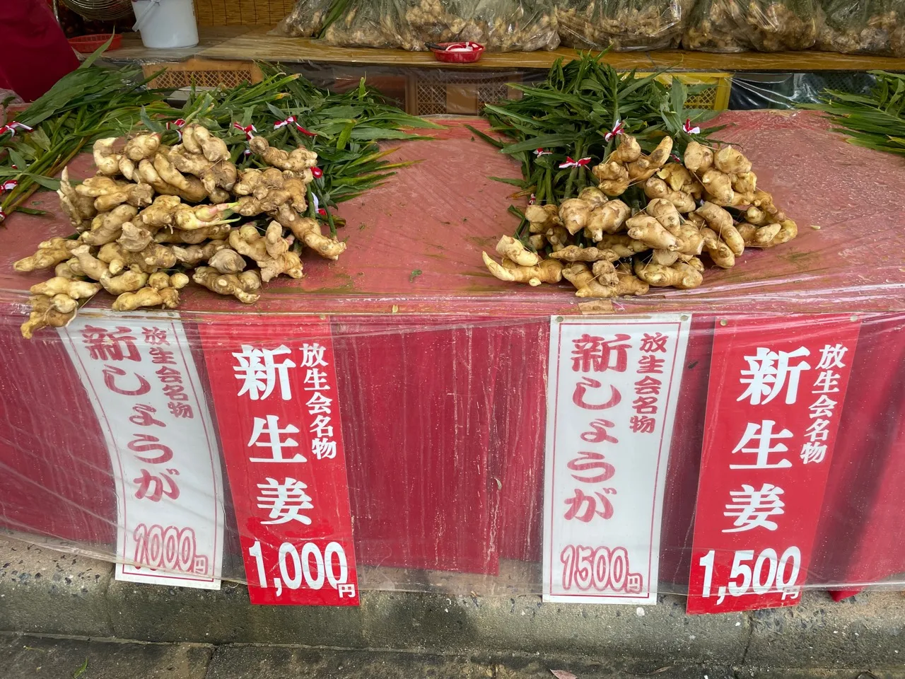 新しょうがの1,000円と1,500円の束